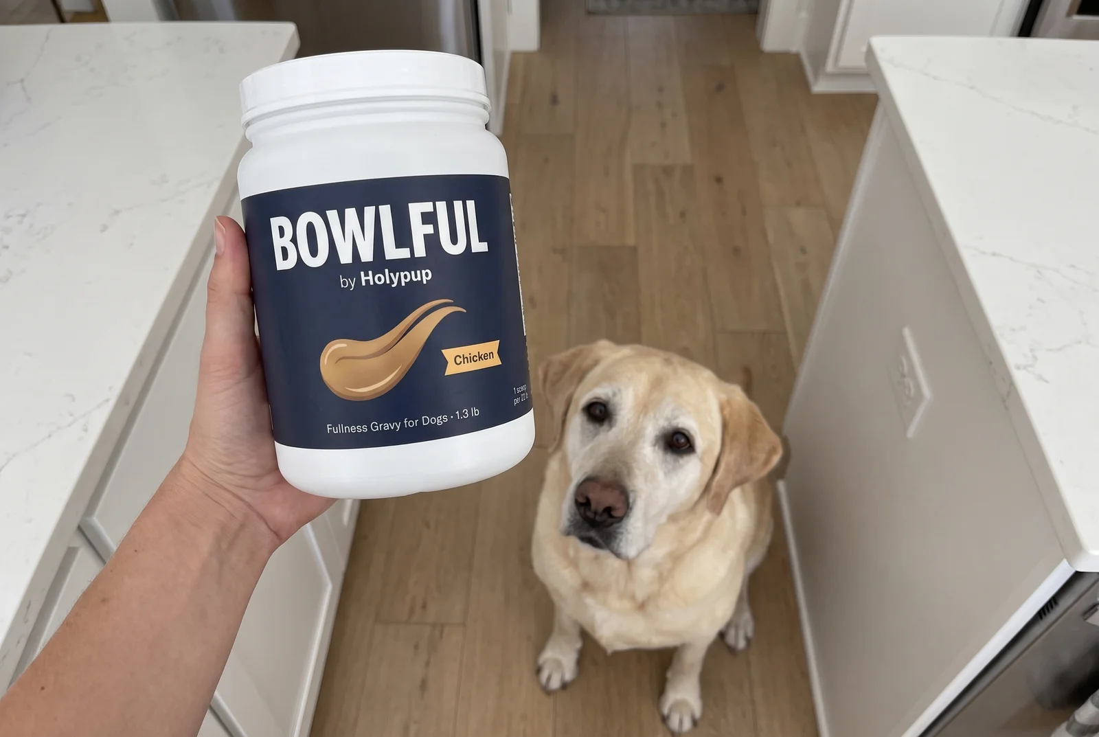 A hand holds the BOWLFUL can while a yellow Labrador looks up from the kitchen floor